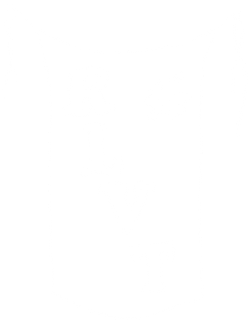 RLVT